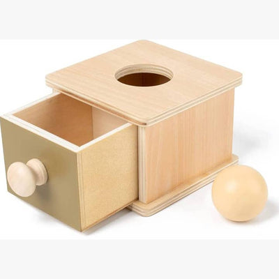 Montessori Ball Drop