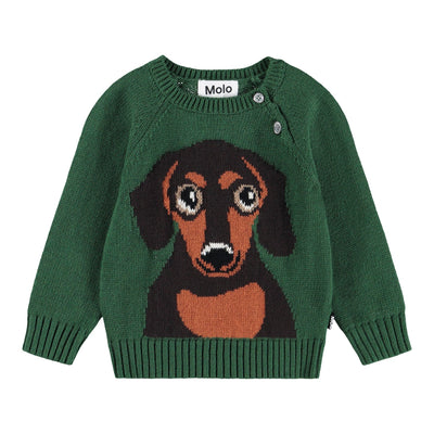 Bless - Dachs Puppy
