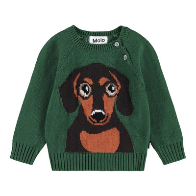 Bless - Dachs Puppy