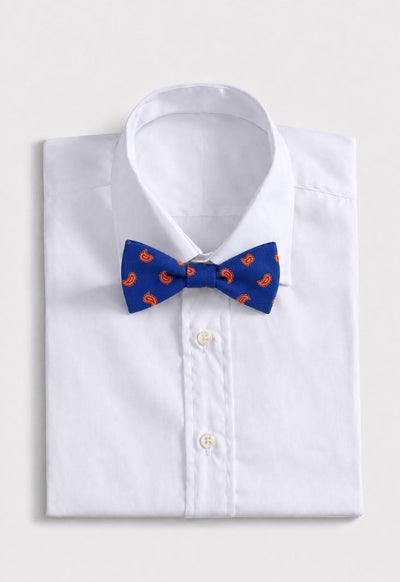 Silk Twill Tossed Paisley Bow Tie - Blue