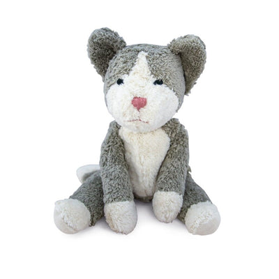 Floppy Animal Cat