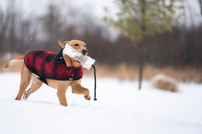 Dog Jacket Fleece - Red/black Plaid