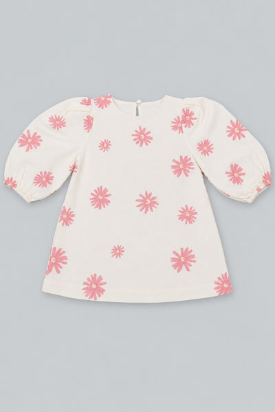 Embroidered Long Sleeve Dress - Pink Combo