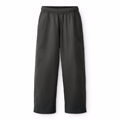 Aster - Raven