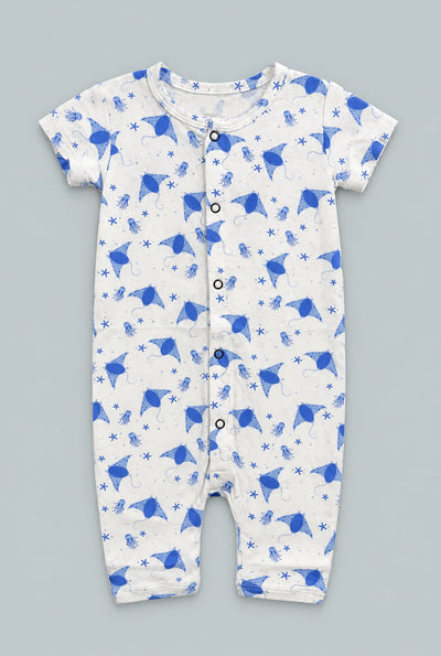 Shortie - Stingray Blue