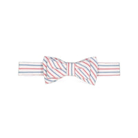 Classic Bow Tie - Red and Blue Seersucker