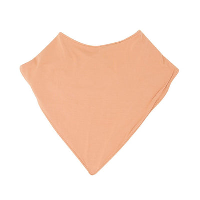 Baby Bib - Pumpkin Spice - OS - Bib
