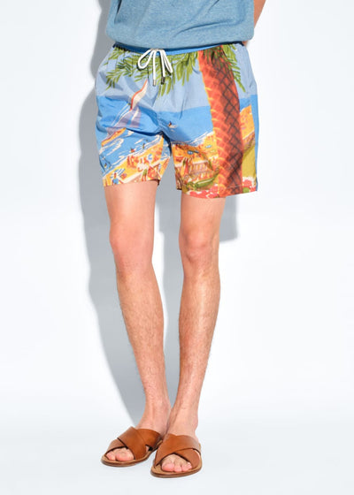 Beach Scene Swim Trunk - Multi - XXL (46) - Swim Trunk
