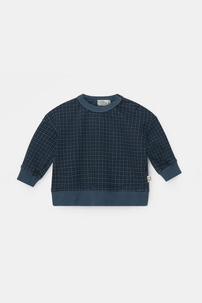 Organic gingham baby sweatshirt - Blue - Crewneck Sweatshirt