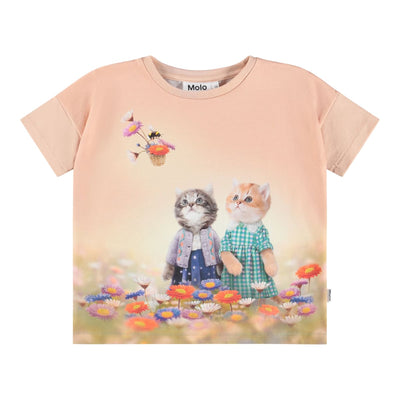 Raeesa - Vintage Kittens