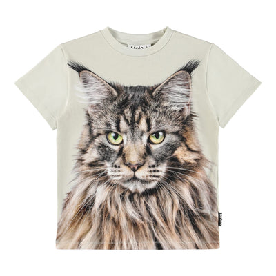 Roxo - Cat