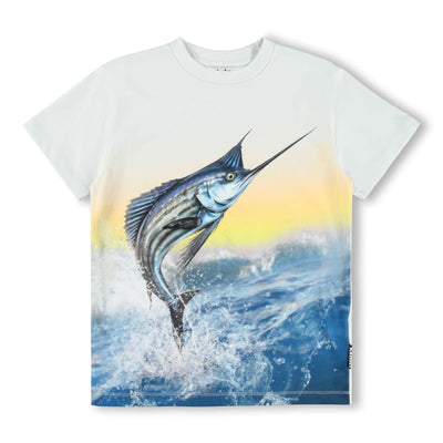Roxo - Sailfish