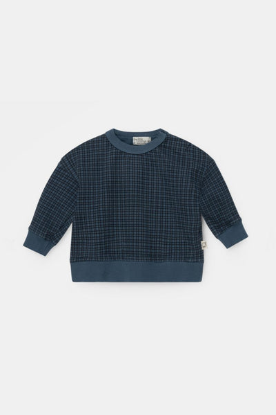 Organic gingham baby sweatshirt - Blue - Crewneck Sweatshirt