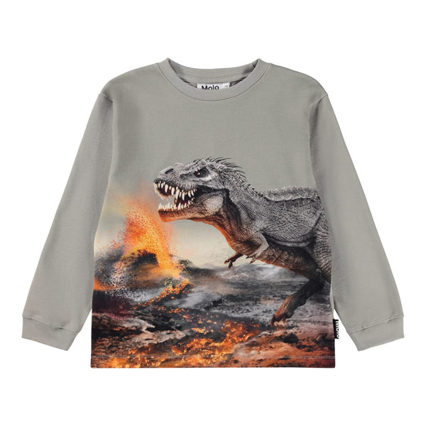 Rube - Dinosaur Fog