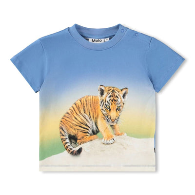 Enzo - Tiger Cub