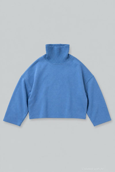 Turtleneck Sweatshirt - Blue - Turtleneck