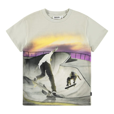 Roxo - Park Skating