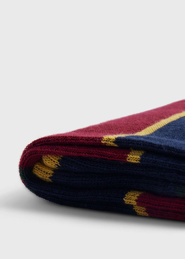 Cotton Regimental Stripe Sock - Navy/Red