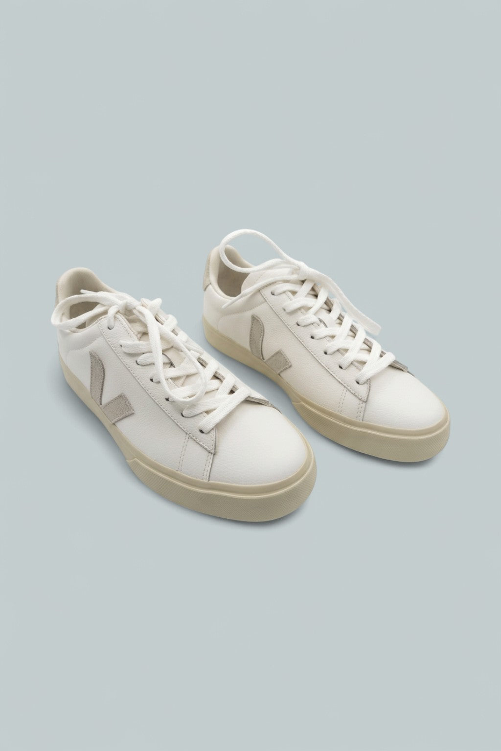 Campo Low Top Sneakers - White/Suede
