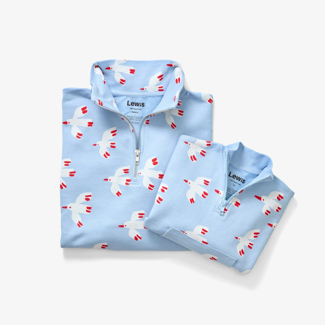 Women's Quarter Zip - Bird Sky