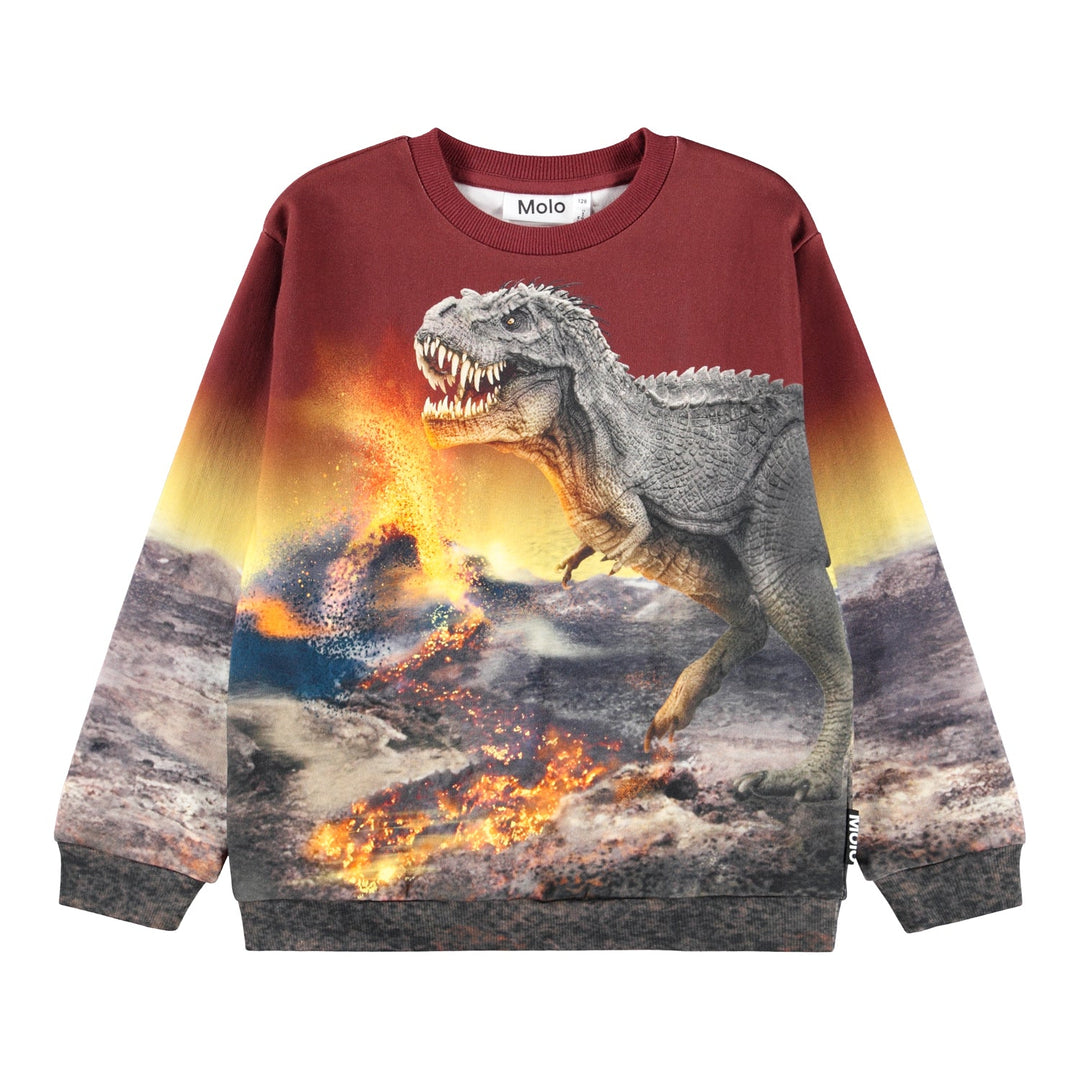 Miksi Sweat Shirt - Dino Landscape