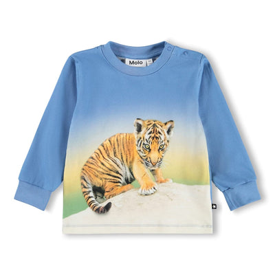 Eloy - Tiger Cub