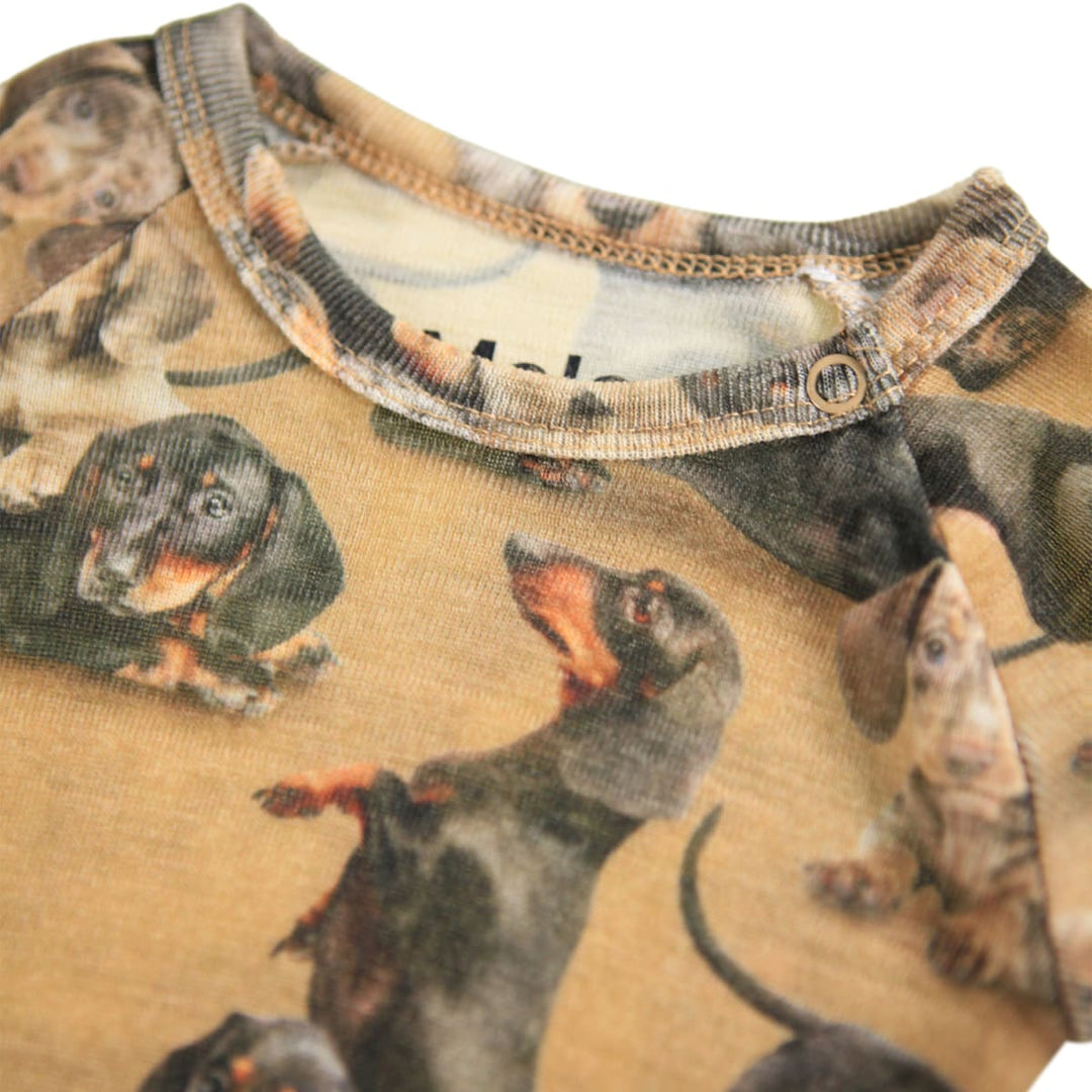 Farai Wool - Dachshunds