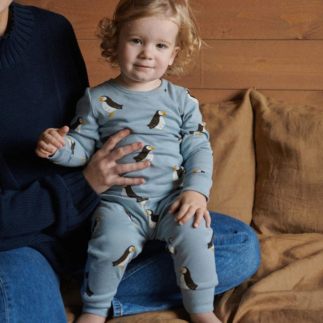 Long Sleeve Pyjama Set - Puffin Print