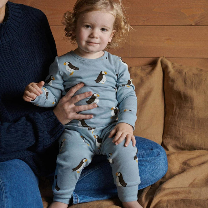 Long Sleeve Pyjama Set - Puffin Print