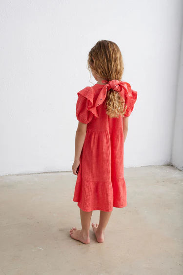 Becky Embroidered Dress