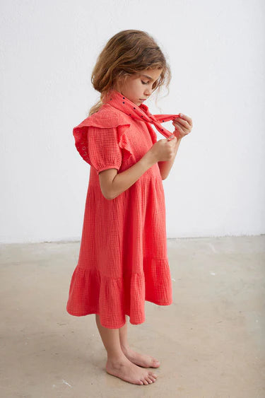 Becky Embroidered Dress