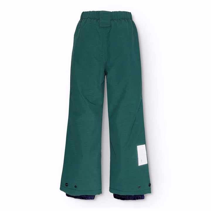 Paxton - Ponderosa Pine