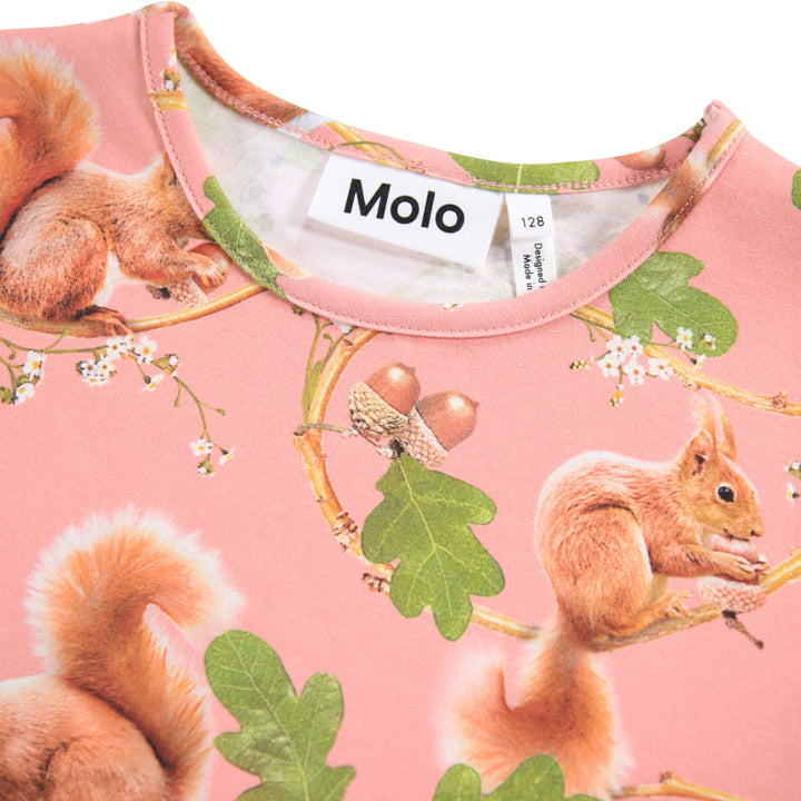 Rose - Squirrel Forest