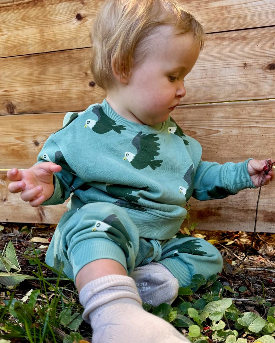 Baby Sweatpants - Eagle Forest