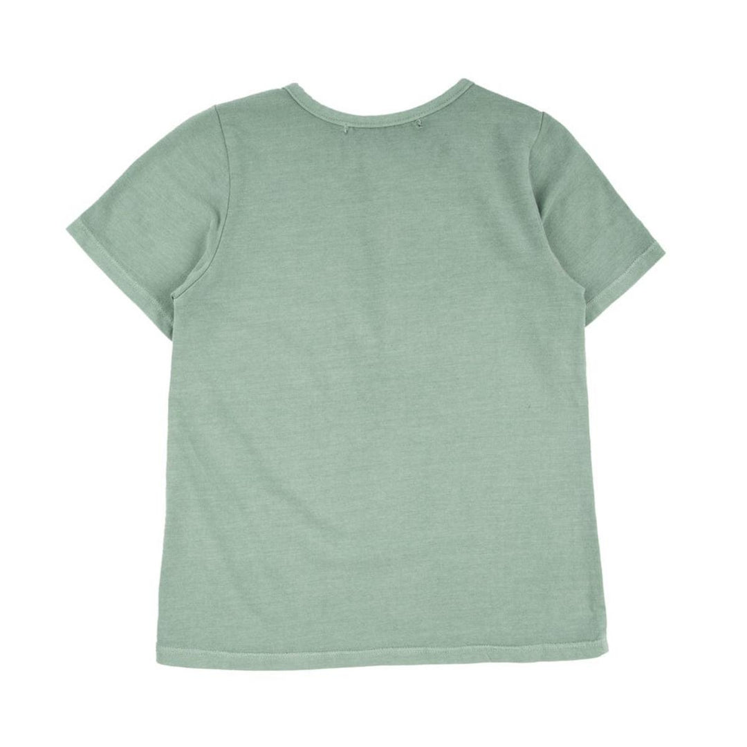 Pauli Henley - Crocodile