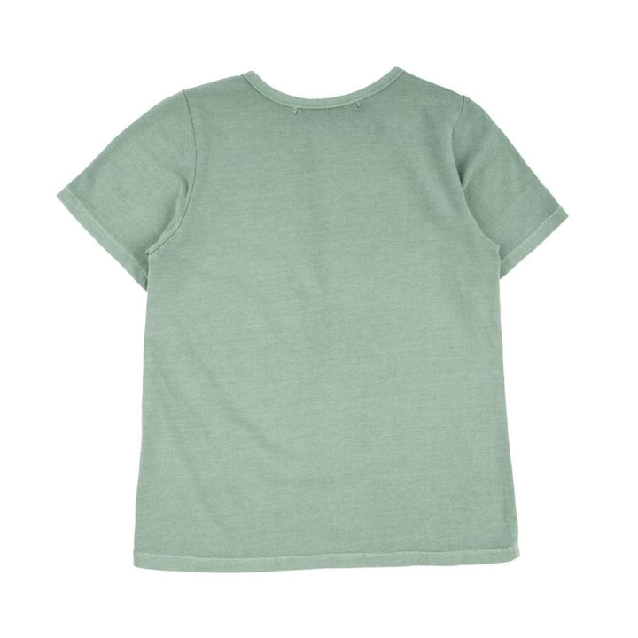 Pauli Henley - Crocodile