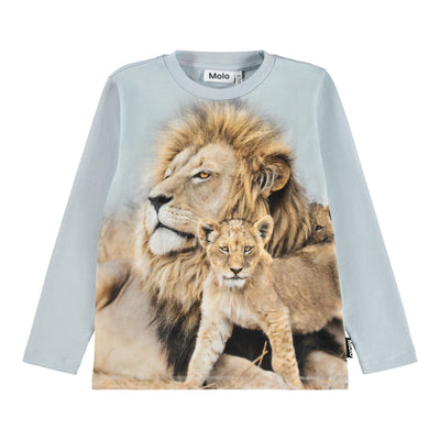 Reif - Lion Family
