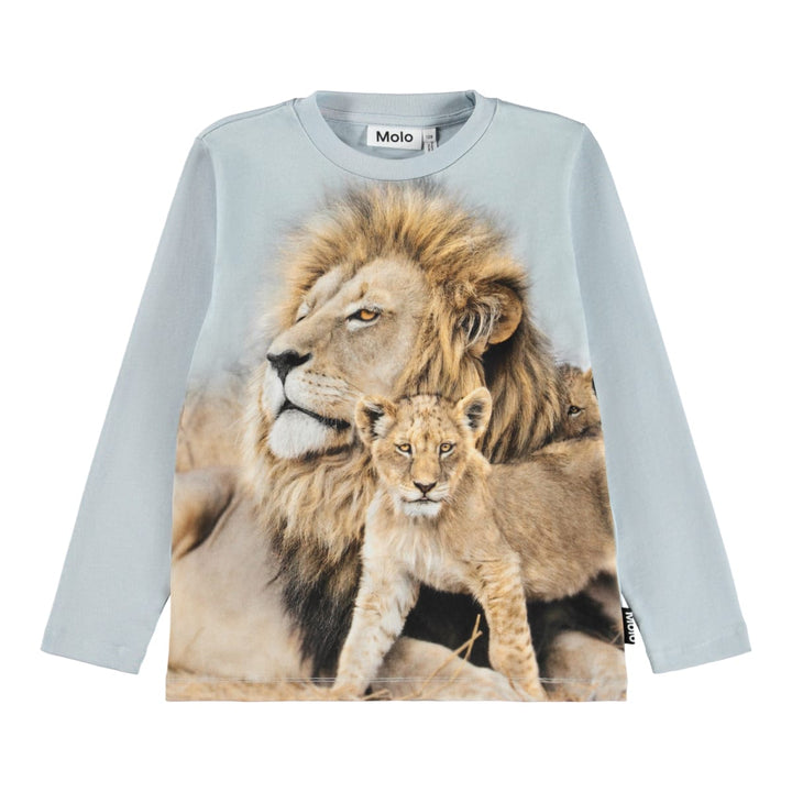Reif - Lion Family