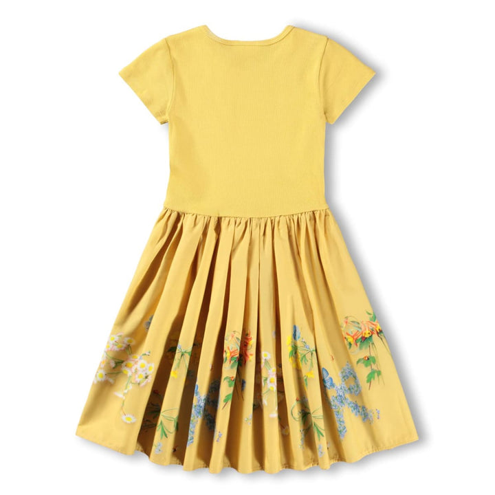 Cissa - Dressy Bows