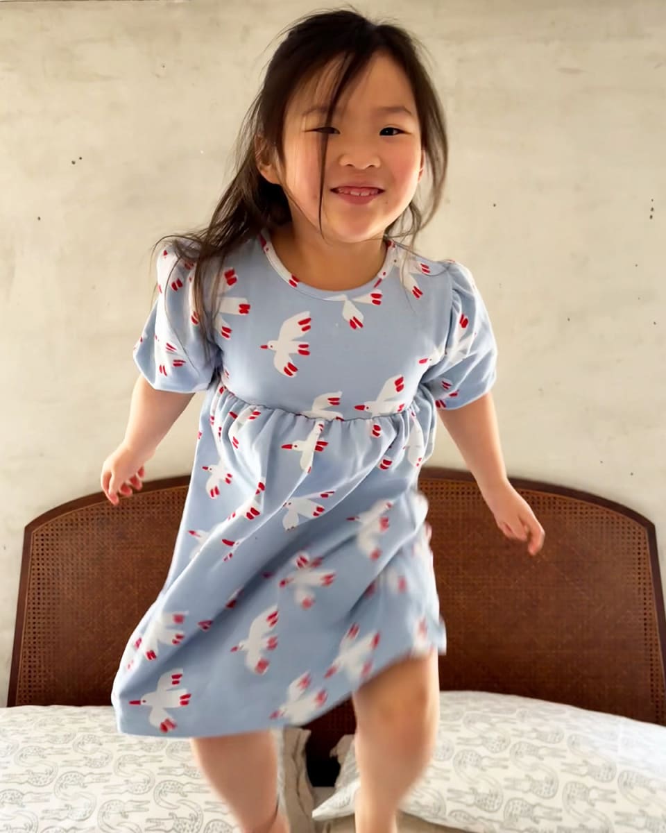 Balloon Sleeve Dress - Bird Sky