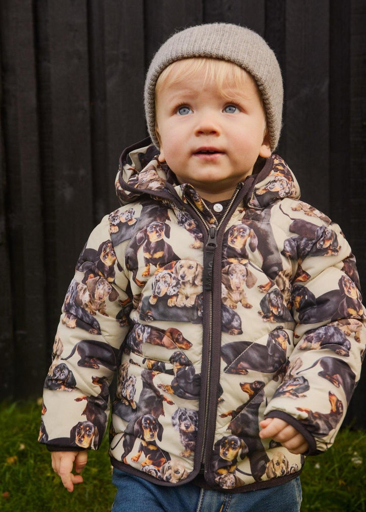 Harmony Jackets - Dashshund Soft