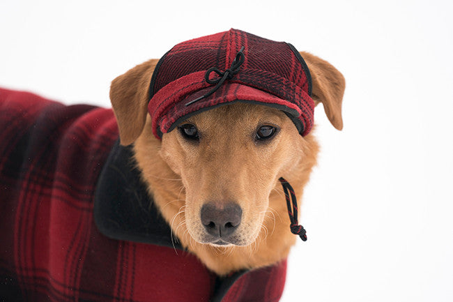 The Critter Kromer Cap - Red/black Plaid