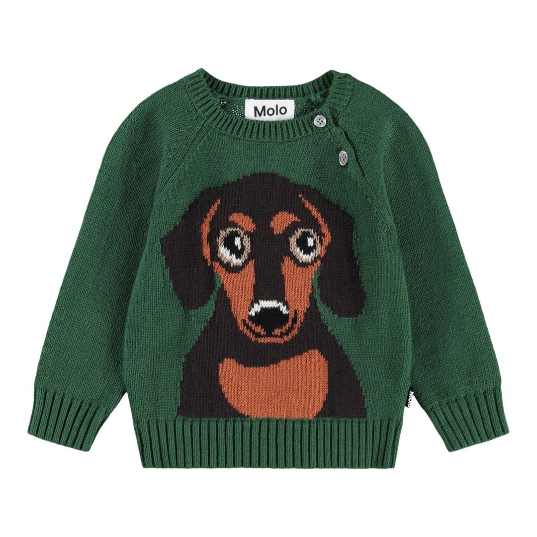 Bless - Dachs Puppy