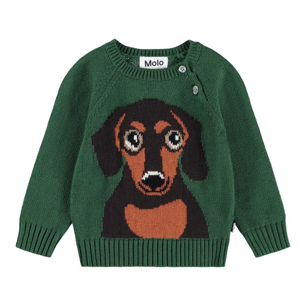 Bless - Dachs Puppy