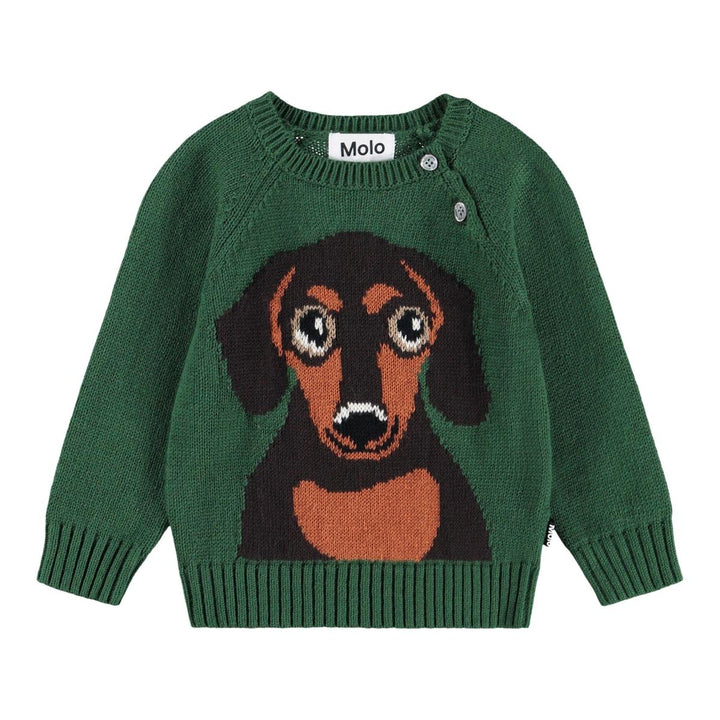 Bless - Dachs Puppy