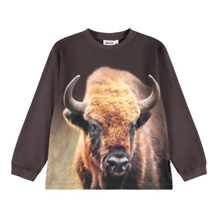 Rube - Bison Encounter
