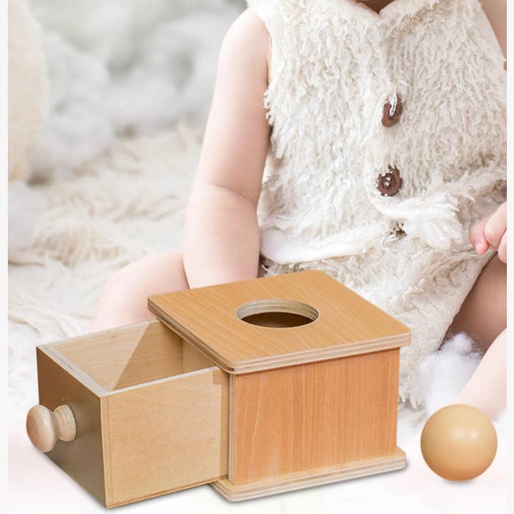 Montessori Ball Drop