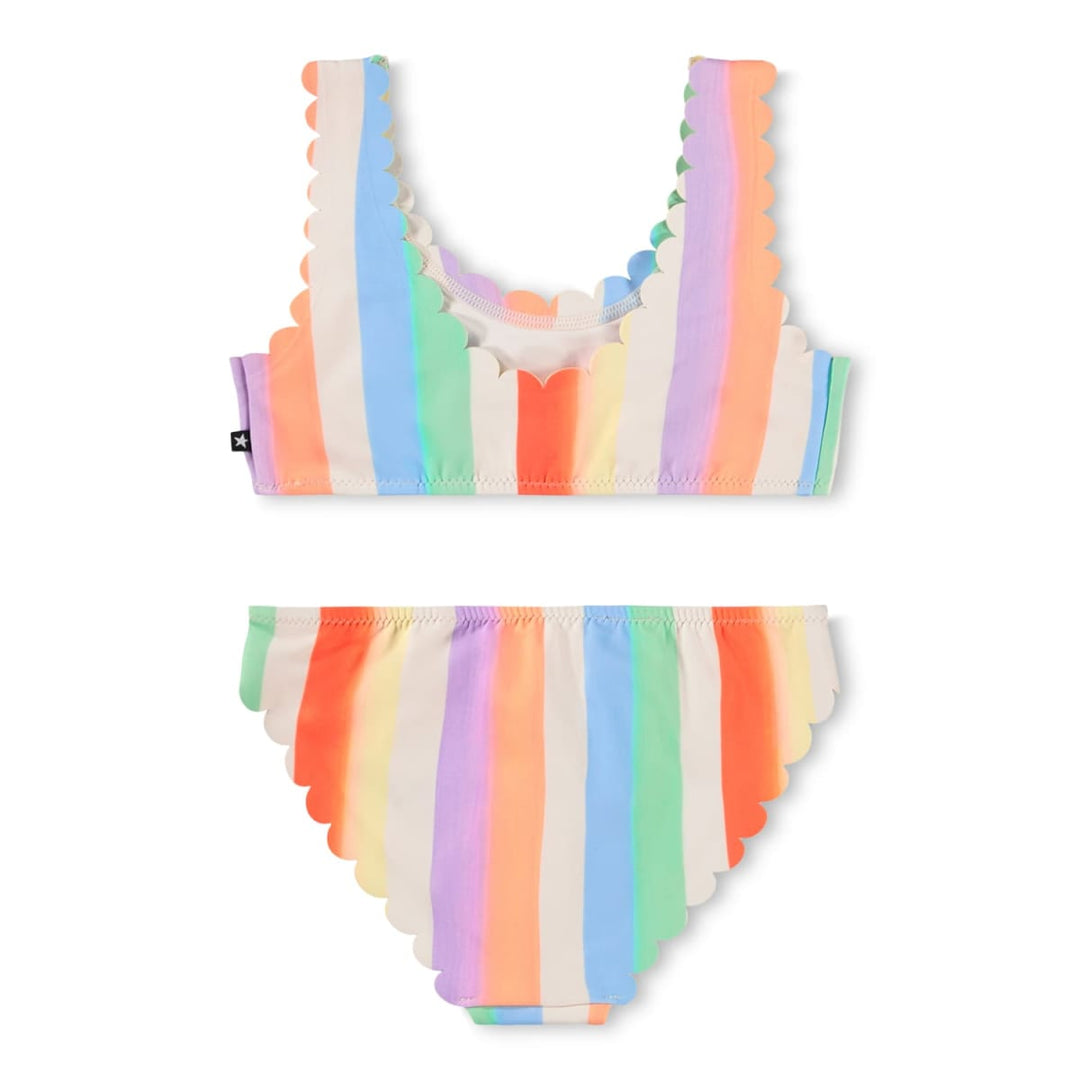 Nolina - Rainbow Paint
