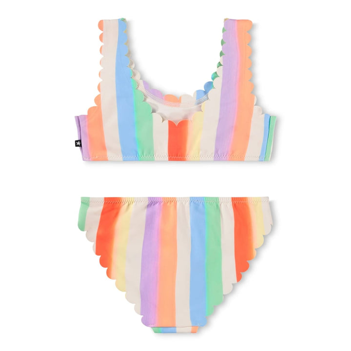 Nolina - Rainbow Paint