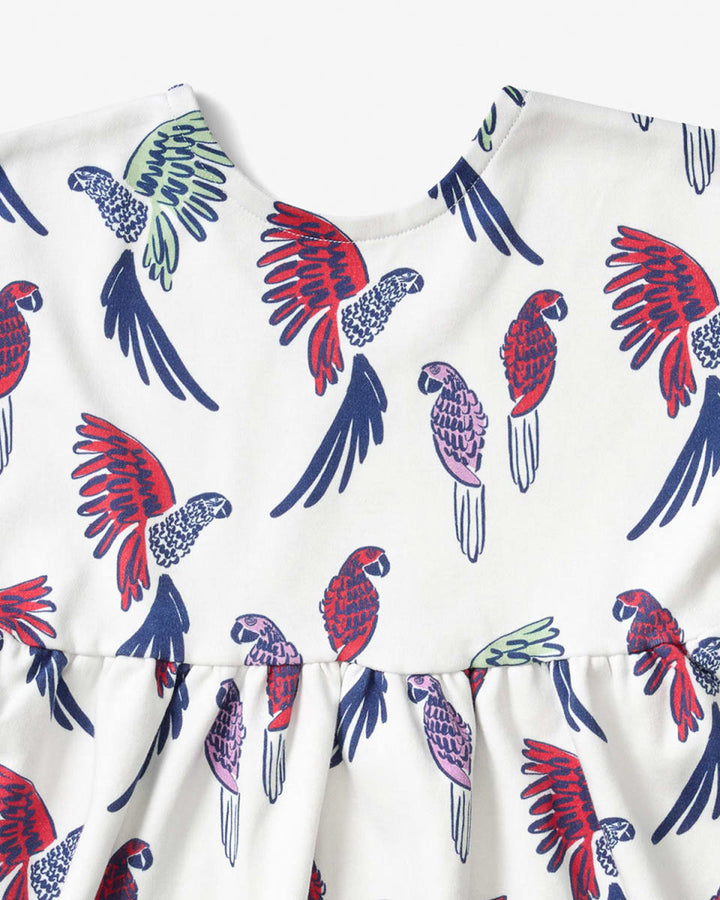 Scoop Back Dress - Parrot Parade